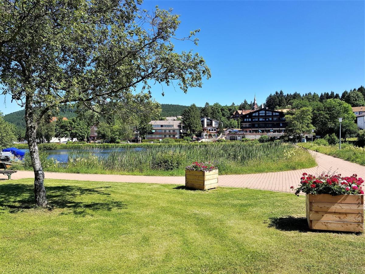 Grossdorf Appartement En Vogue Im Hahnenklee, Harz Goslar Eksteriør bilde